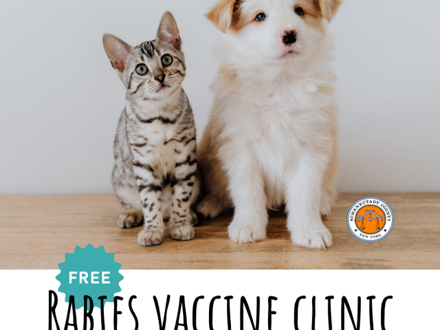 Schenectady County Rabies Vaccine Clinic Graphic with Cat and Dog