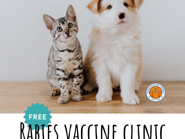 Cat and dog with text saying free rabies vaccine clinic