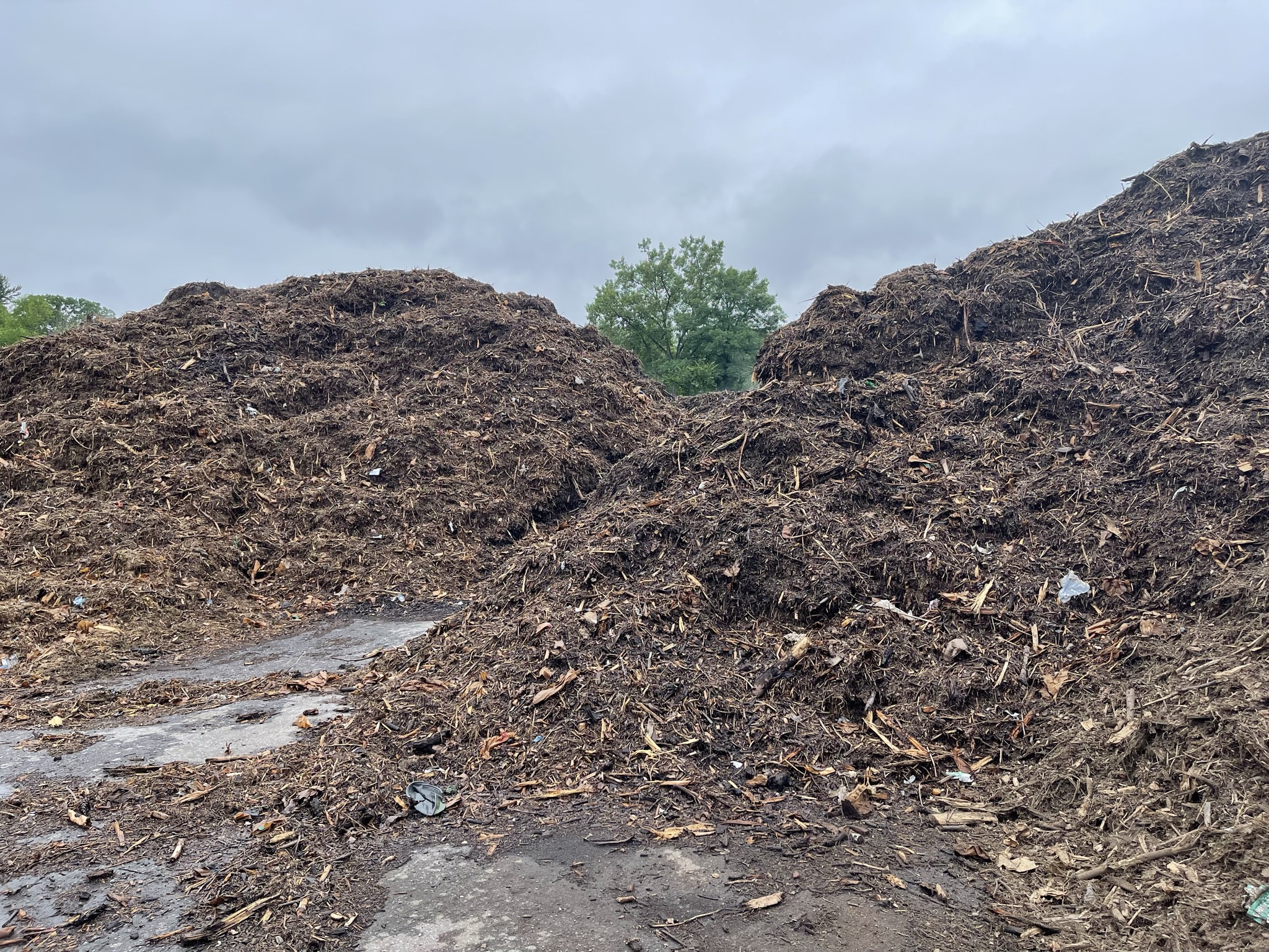 Two piles of mixed yard waste compost