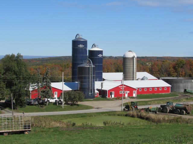 Photo of a commercial red barn with blue silos at Windy Hill Farm in Schenectady County 