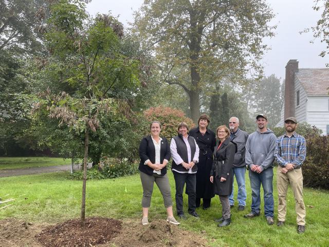 Tree Planting on Dean Street in Niskayuna