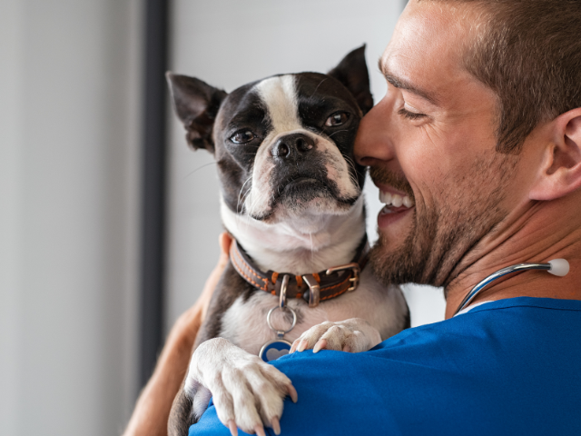 Photo of a veterinarian holding a dog wearing a collar