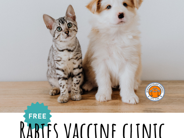 Photo of a cat and a dog with the words free rabies vaccine clinic schenectady county